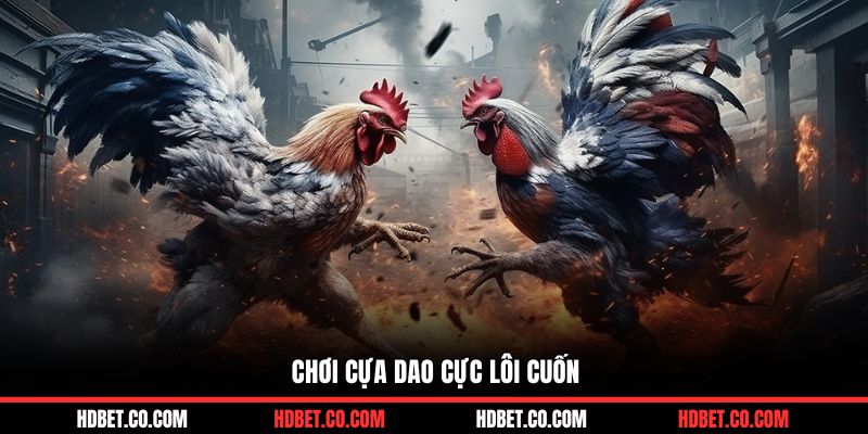 Chơi cựa dao cực lôi cuốn